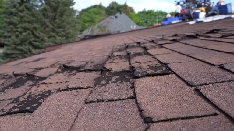 Best Commercial Roofing Services  in Lake Catherine, IL