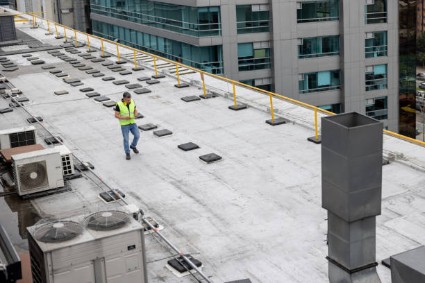 Best Rubber Roofing (EPDM, TPO)  in Lake Catherine, IL
