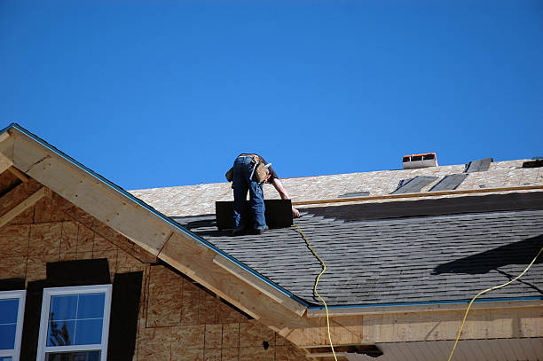Best Roof Coating Services  in Lake Catherine, IL