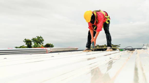 Best Gutter Installation and Repair  in Lake Catherine, IL