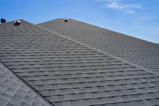 Best Roof Coating and Sealing  in Lake Catherine, IL