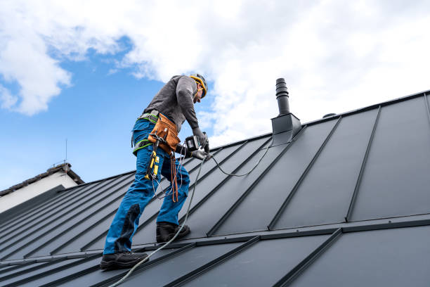 Best Gutter Installation and Repair  in Lake Catherine, IL