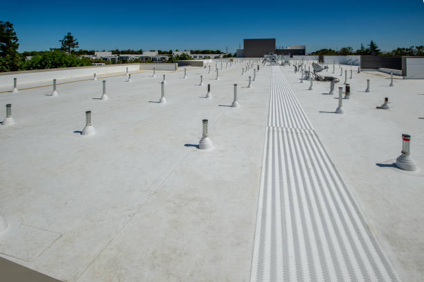 Best Roof Installation  in Lake Catherine, IL